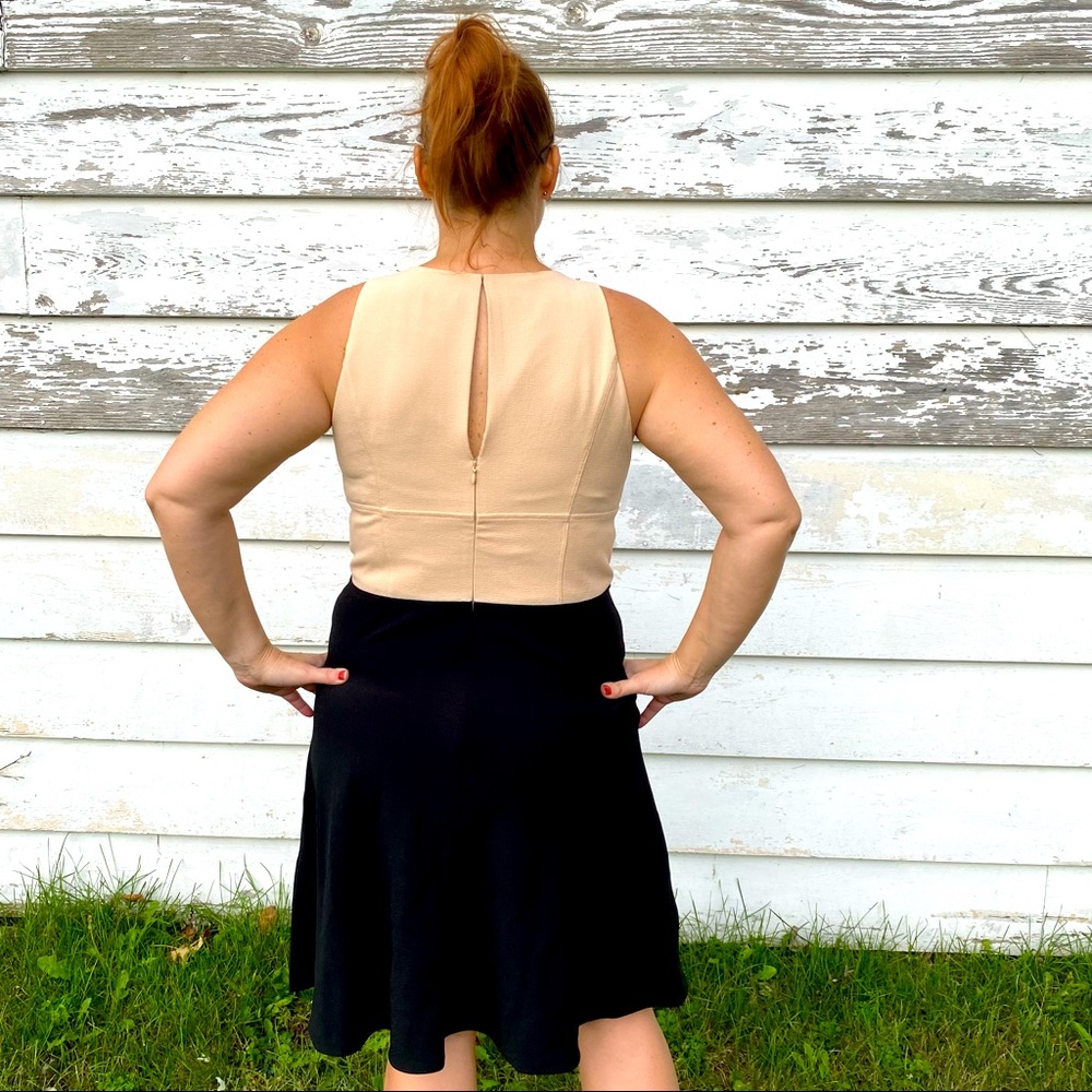 Ann Taylor Fit and Flare Cream and Black Dress sz 12 - Picture 3 of 13